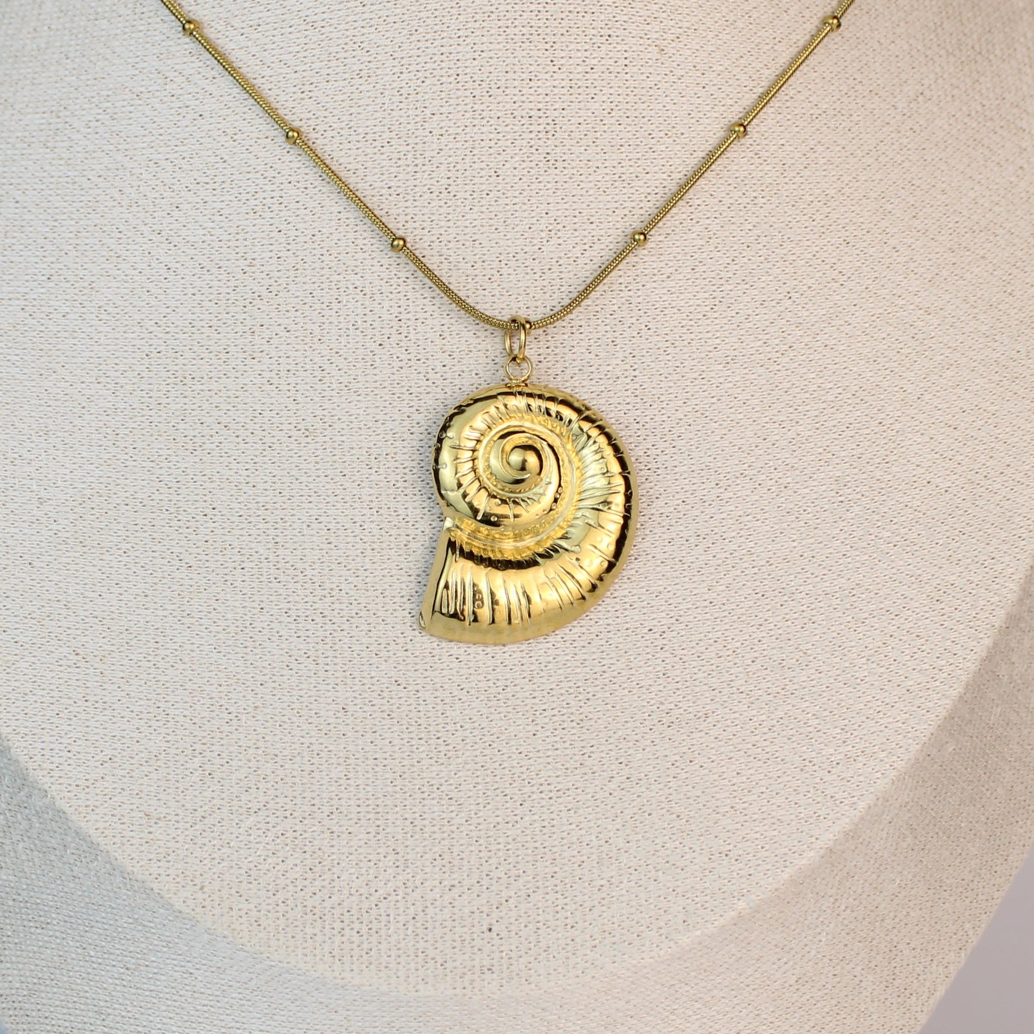 Golden Nautilus Treasure Necklace